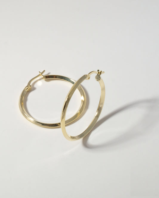 DİX HUGGIE HOOP EARRINGS